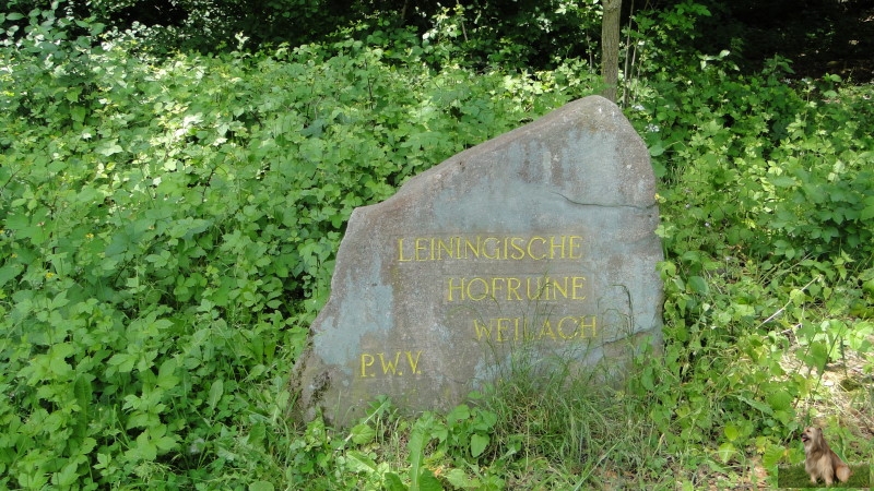 Ritterstein Nr. 281-2b Leiningische Hofruine Weilach.JPG - Ritterstein Nr.281 Leiningische Hofruine Weilach